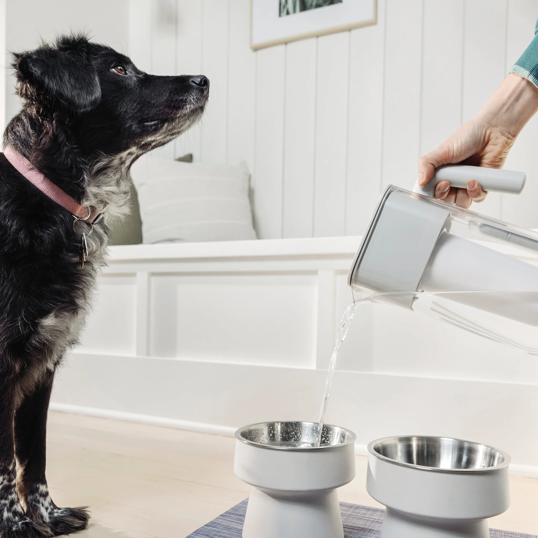 10 Cup Pitcher - Image 10